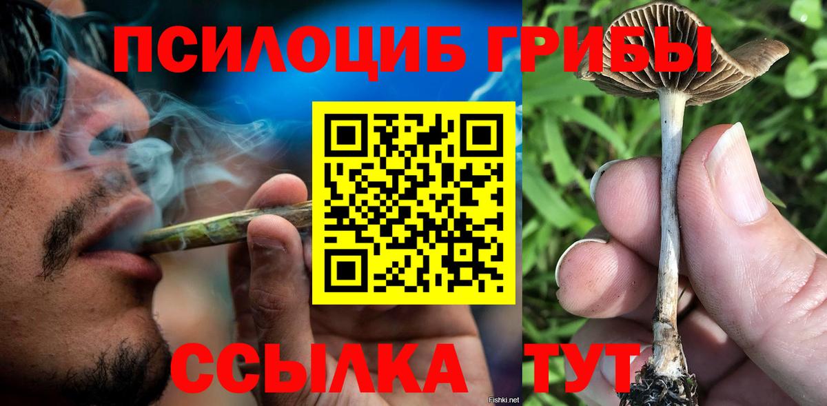 Галлюциногенные грибы мухоморы  Псилоцибиновые грибы прущие грибы  Вход с VPN  Губкинский 