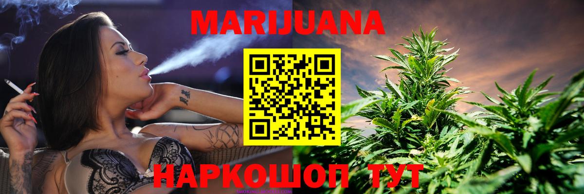 Бошки марихуана планчик  Шишки марихуана тримм  Вход с VPN  Марихуана сатива  Губкинский 